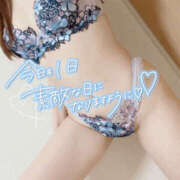 ヒメ日記 2024/12/30 18:40 投稿 まりこ 谷町秘密倶楽部