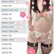 ヒメ日記 2025/03/09 15:15 投稿 まりこ 谷町秘密倶楽部