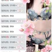 ヒメ日記 2025/03/21 14:55 投稿 まりこ 谷町秘密倶楽部