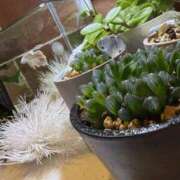 ヒメ日記 2026/02/03 09:55 投稿 もな 谷町秘密倶楽部