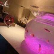 ヒメ日記 2026/02/06 13:15 投稿 もな 谷町秘密倶楽部