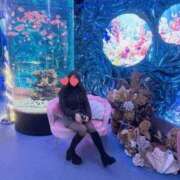 ヒメ日記 2026/02/10 10:35 投稿 もな 谷町秘密倶楽部