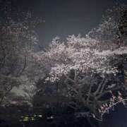 ヒメ日記 2025/04/09 19:13 投稿 ほのか若奥 未熟な若奥