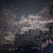 ヒメ日記 2025/04/09 19:23 投稿 ほのか若奥 未熟な若奥