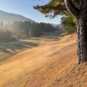 ほのか若奥 本日出勤してまーす^_^ 未熟な若奥