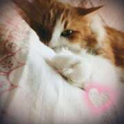 ヒメ日記 2024/12/31 18:48 投稿 清水（しみず） 今日、私はあなたの部下（マーベリックグループ）