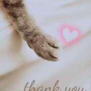 ヒメ日記 2025/02/21 19:38 投稿 清水（しみず） 今日、私はあなたの部下（マーベリックグループ）