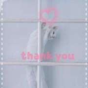 ヒメ日記 2025/03/23 05:48 投稿 清水（しみず） 今日、私はあなたの部下（マーベリックグループ）