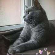 ヒメ日記 2025/06/03 19:28 投稿 清水（しみず） 今日、私はあなたの部下（マーベリックグループ）