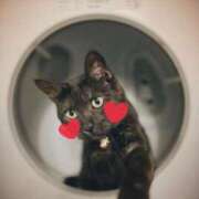 ヒメ日記 2025/07/02 19:18 投稿 清水（しみず） 今日、私はあなたの部下（マーベリックグループ）