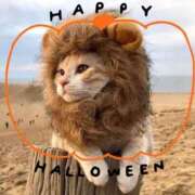 ヒメ日記 2025/10/01 19:18 投稿 清水（しみず） 今日、私はあなたの部下（マーベリックグループ）