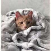 ヒメ日記 2025/11/01 19:18 投稿 清水（しみず） 今日、私はあなたの部下（マーベリックグループ）