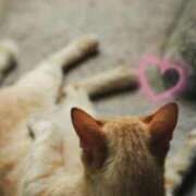 ヒメ日記 2025/11/15 00:48 投稿 清水（しみず） 今日、私はあなたの部下（マーベリックグループ）