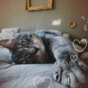 ヒメ日記 2025/11/26 00:08 投稿 清水（しみず） 今日、私はあなたの部下（マーベリックグループ）