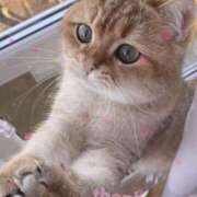 ヒメ日記 2025/11/28 01:28 投稿 清水（しみず） 今日、私はあなたの部下（マーベリックグループ）