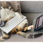 ヒメ日記 2025/11/30 00:28 投稿 清水（しみず） 今日、私はあなたの部下（マーベリックグループ）