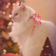 清水（しみず） 12月のはじまり♡ 今日、私はあなたの部下（マーベリックグループ）