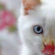 清水（しみず） 朝まで♡ 今日、私はあなたの部下（マーベリックグループ）