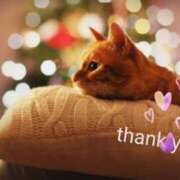 ヒメ日記 2025/12/10 01:18 投稿 清水（しみず） 今日、私はあなたの部下（マーベリックグループ）