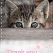 ヒメ日記 2025/12/31 07:48 投稿 清水（しみず） 今日、私はあなたの部下（マーベリックグループ）