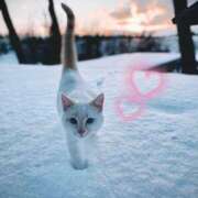 ヒメ日記 2026/01/07 19:28 投稿 清水（しみず） 今日、私はあなたの部下（マーベリックグループ）