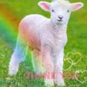 ヒメ日記 2026/01/20 23:33 投稿 清水（しみず） 今日、私はあなたの部下（マーベリックグループ）