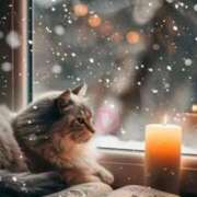 ヒメ日記 2026/02/04 19:28 投稿 清水（しみず） 今日、私はあなたの部下（マーベリックグループ）