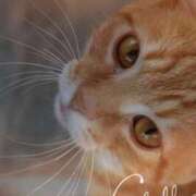 ヒメ日記 2026/02/26 00:18 投稿 清水（しみず） 今日、私はあなたの部下（マーベリックグループ）