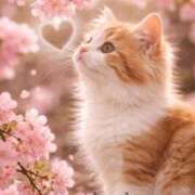 ヒメ日記 2026/03/03 19:28 投稿 清水（しみず） 今日、私はあなたの部下（マーベリックグループ）