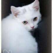 ヒメ日記 2026/03/06 02:08 投稿 清水（しみず） 今日、私はあなたの部下（マーベリックグループ）