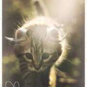 ヒメ日記 2026/03/12 00:04 投稿 清水（しみず） 今日、私はあなたの部下（マーベリックグループ）