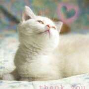 ヒメ日記 2026/03/25 23:28 投稿 清水（しみず） 今日、私はあなたの部下（マーベリックグループ）