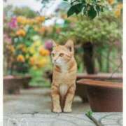 ヒメ日記 2026/04/08 23:58 投稿 清水（しみず） 今日、私はあなたの部下（マーベリックグループ）