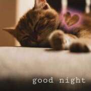 ヒメ日記 2026/04/25 00:54 投稿 清水（しみず） 今日、私はあなたの部下（マーベリックグループ）