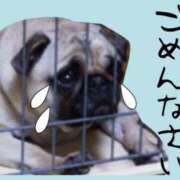 ヒメ日記 2025/03/22 11:18 投稿 イオリ ヴィーナス(金津園)