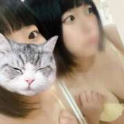 ヒメ日記 2026/03/28 11:50 投稿 ことこ 豊満倶楽部