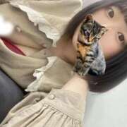 ヒメ日記 2026/04/04 15:50 投稿 ことこ 豊満倶楽部