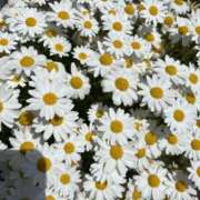 ヒメ日記 2026/02/21 13:45 投稿 ありさ 紅(くれない)