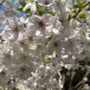 ヒメ日記 2026/04/03 10:10 投稿 ありさ 紅(くれない)