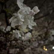 ヒメ日記 2026/04/14 14:50 投稿 ありさ 紅(くれない)