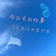 ヒメ日記 2024/06/19 23:16 投稿 るり 素人妻達☆マイふぇらレディー