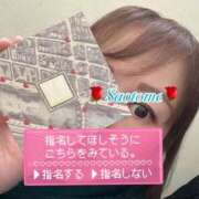 ヒメ日記 2025/02/15 17:43 投稿 早乙女 熟女の風俗最終章 横浜本店