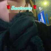 ヒメ日記 2025/03/29 18:34 投稿 早乙女 熟女の風俗最終章 横浜本店