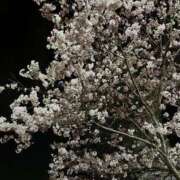 ヒメ日記 2025/04/18 22:54 投稿 早乙女 熟女の風俗最終章 横浜本店