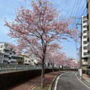 ヒメ日記 2025/05/04 17:44 投稿 早乙女 熟女の風俗最終章 横浜本店