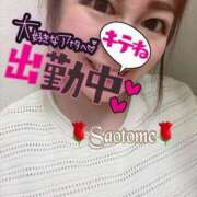 ヒメ日記 2025/09/15 15:28 投稿 早乙女 熟女の風俗最終章 横浜本店