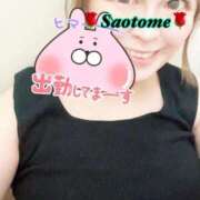 ヒメ日記 2025/09/15 17:18 投稿 早乙女 熟女の風俗最終章 横浜本店