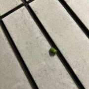 ヒメ日記 2025/10/26 08:06 投稿 早乙女 熟女の風俗最終章 横浜本店