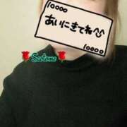 ヒメ日記 2025/10/31 15:29 投稿 早乙女 熟女の風俗最終章 横浜本店