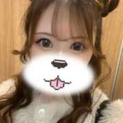 ヒメ日記 2025/02/27 19:00 投稿 あんり アラモード